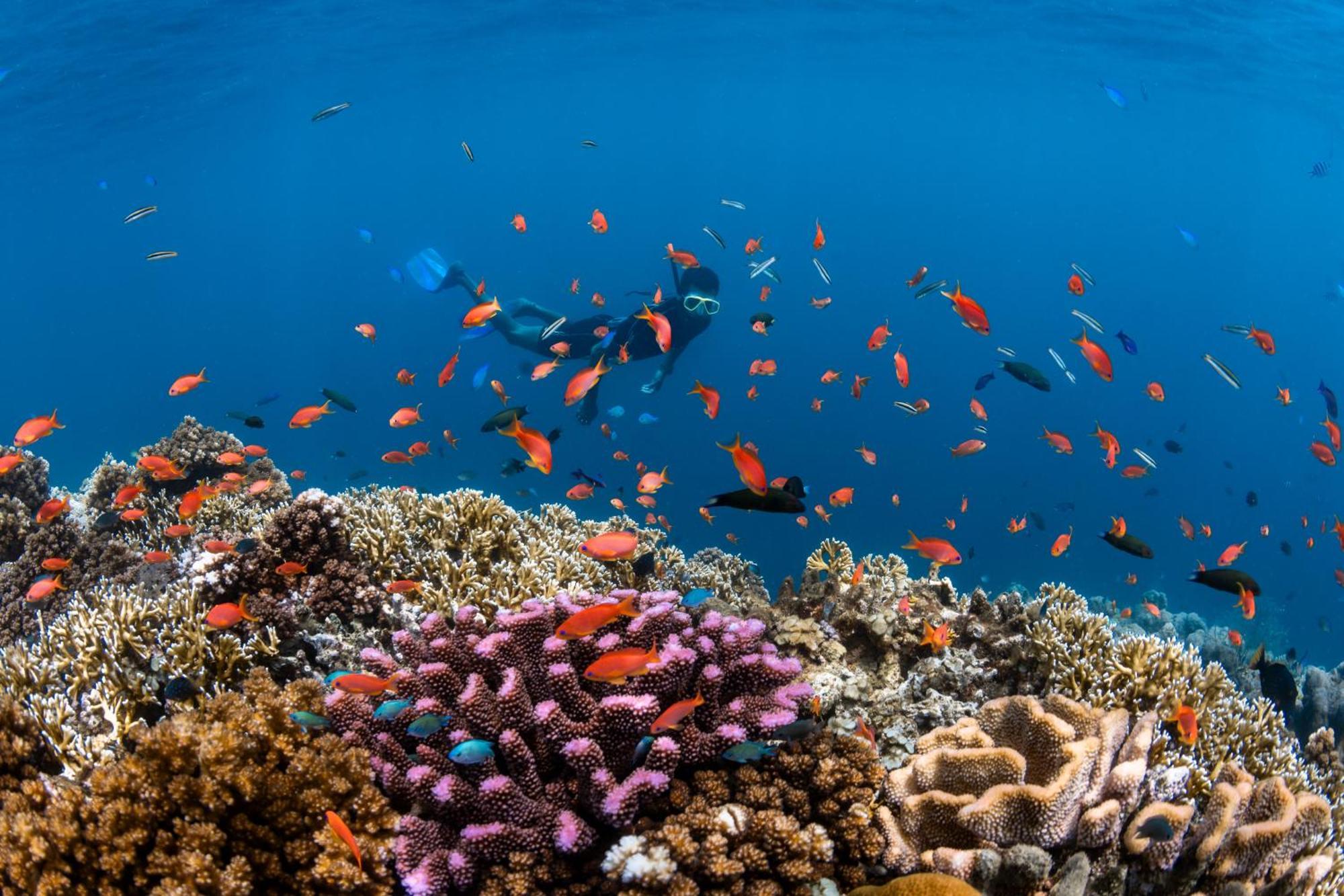 Beqa Lagoon Resort Raviravi Eksteriør bilde