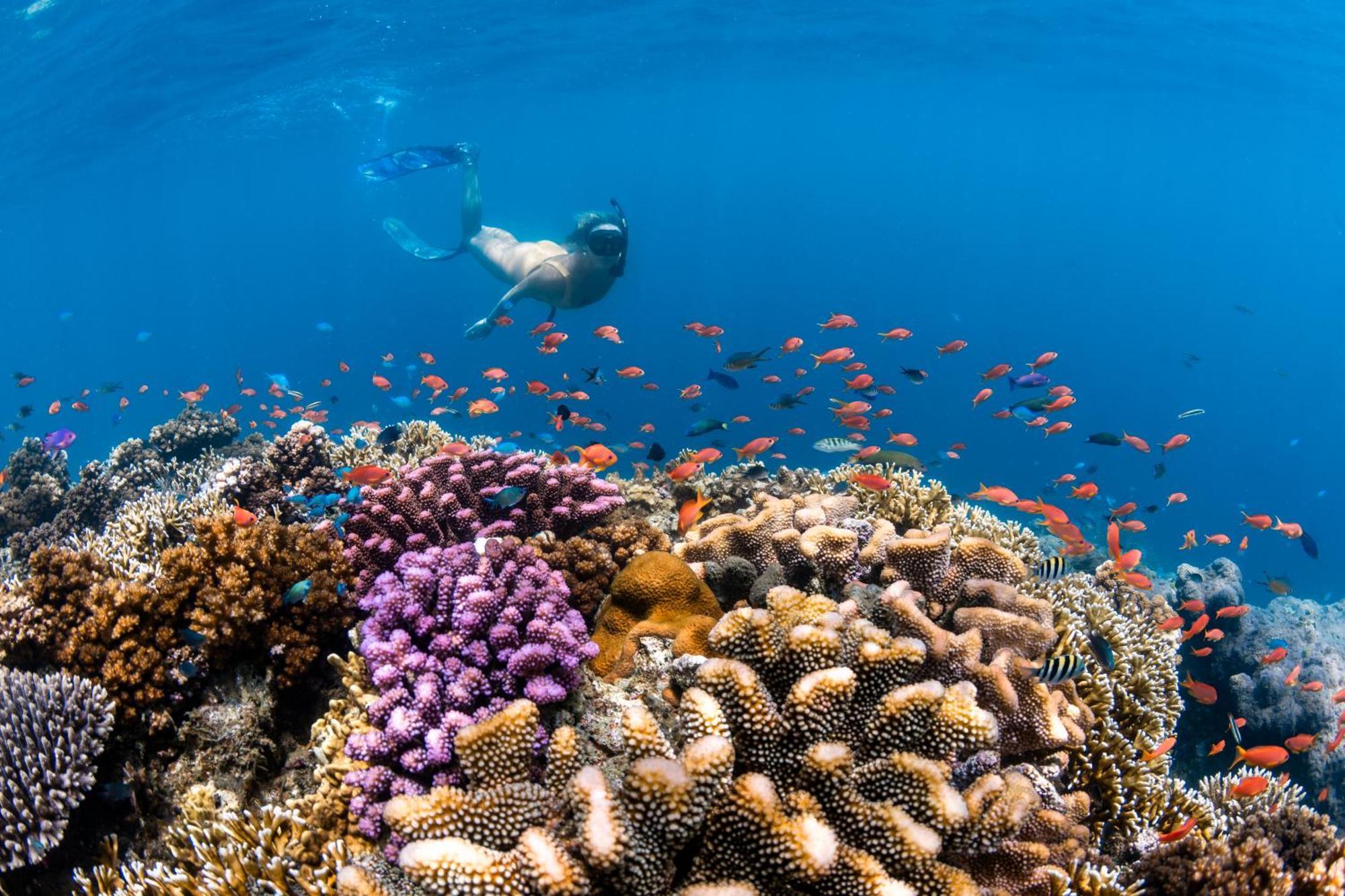 Beqa Lagoon Resort Raviravi Eksteriør bilde