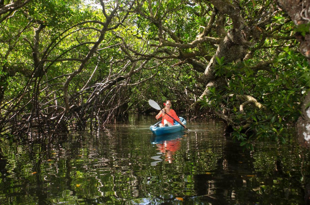 Beqa Lagoon Resort Raviravi Eksteriør bilde